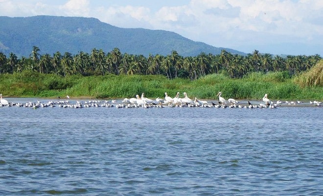 Laguna de Coyuca en Acapulco