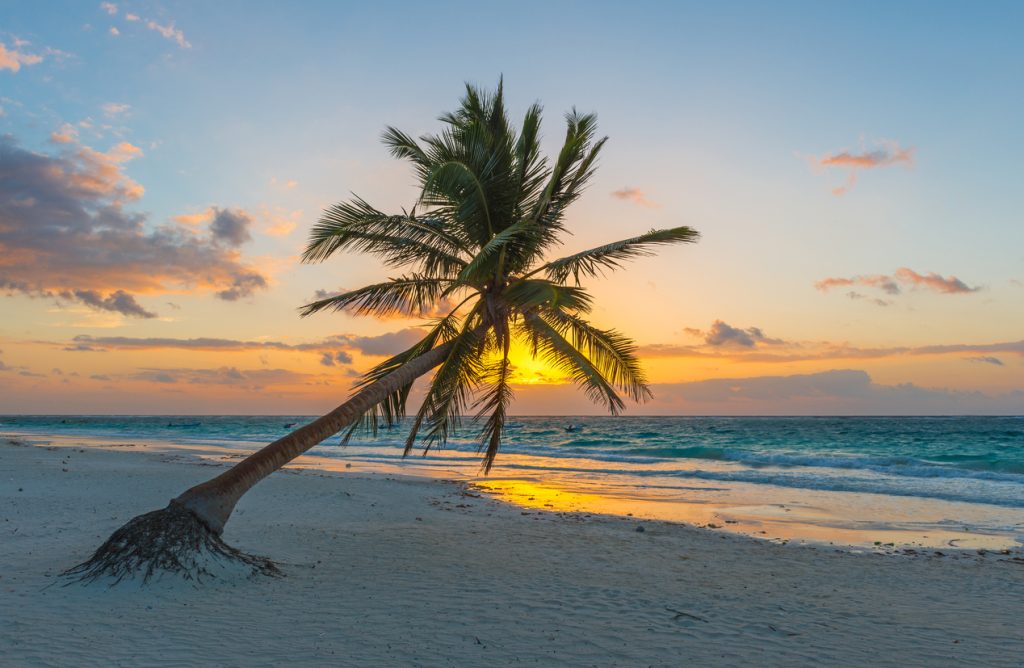 Riviera maya en la Trump Era
