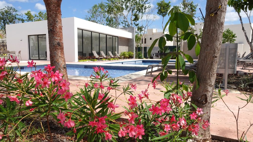 playas petfriendly