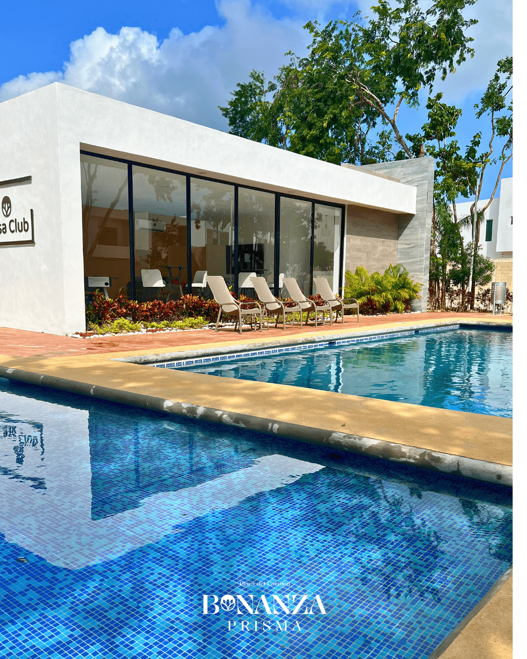 playas petfriendly