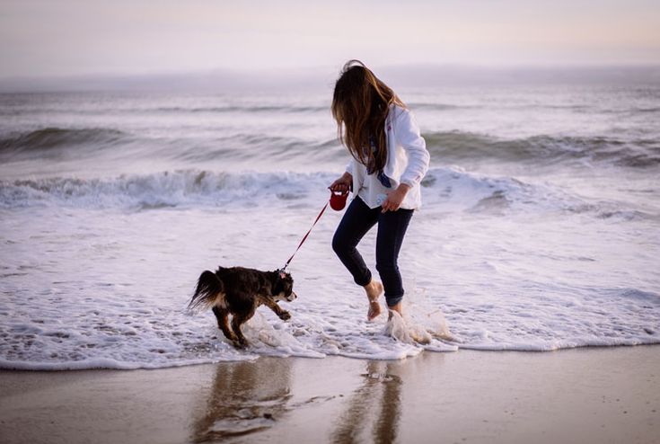 playas petfriendly
