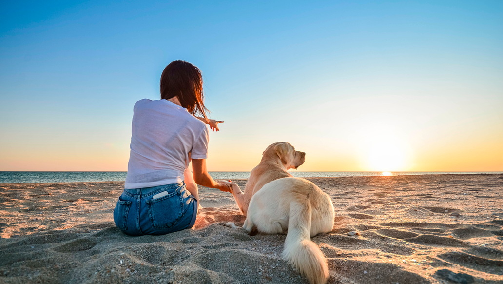 Playas Petfriendly