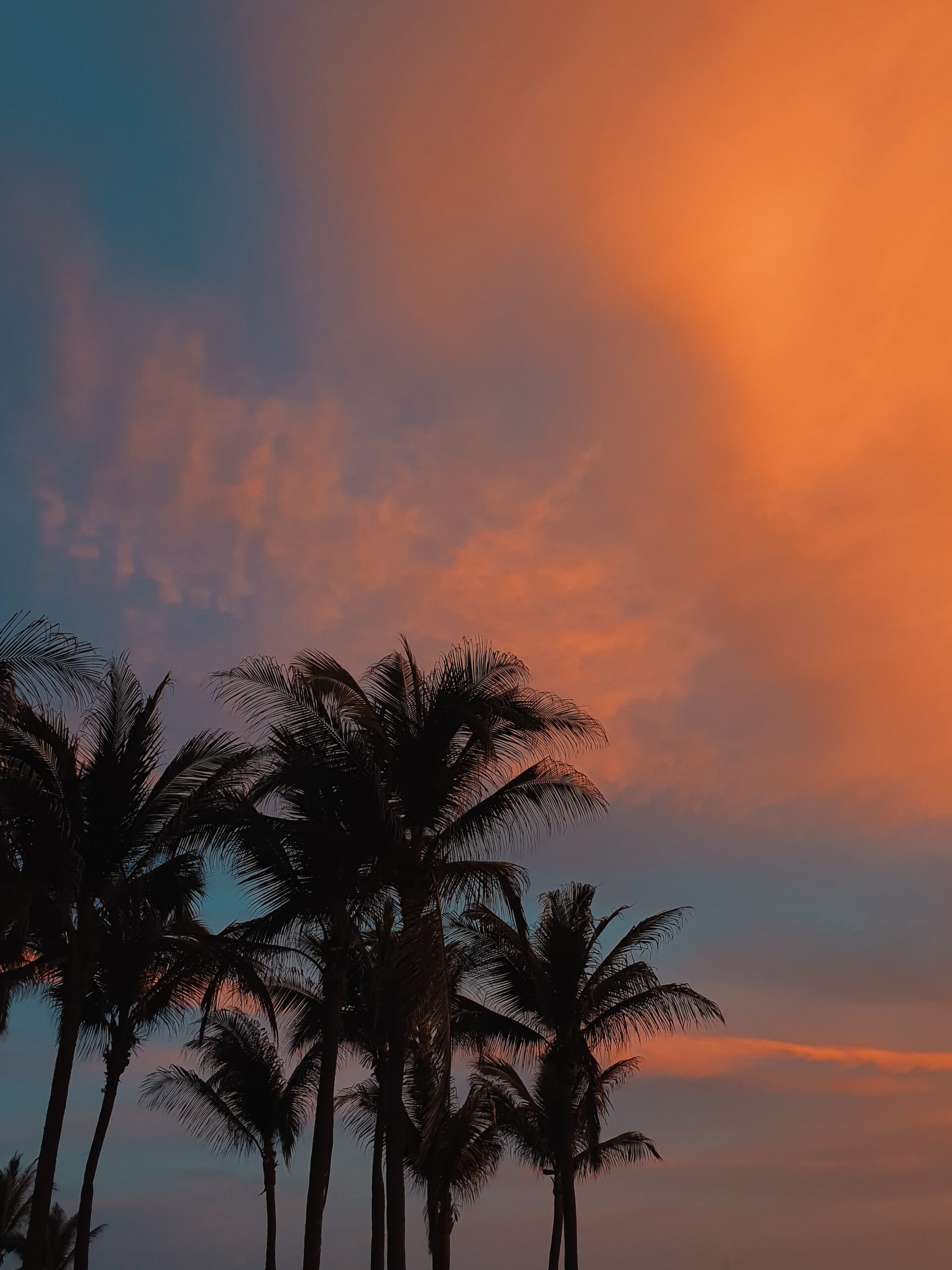 Especial Acapulco