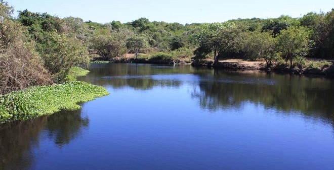 Laguna de Coyuca en Acapulco